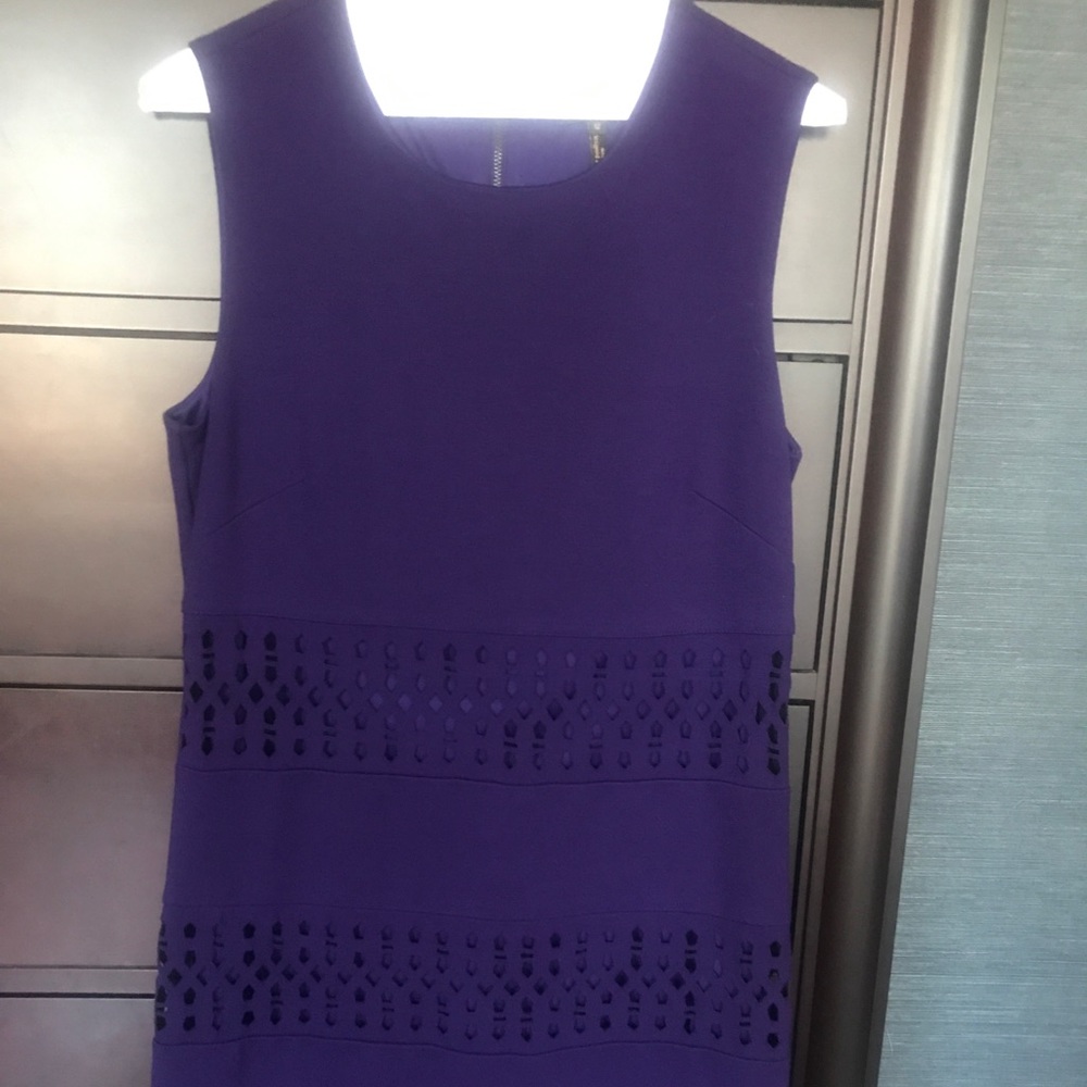 Size 12 Shelli Segal Laundry purple dress